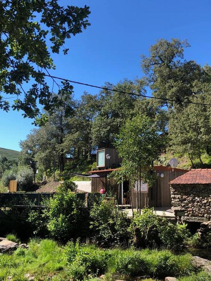 Ninho Da Avo Selvagem Villa Montalegre Eksteriør bilde