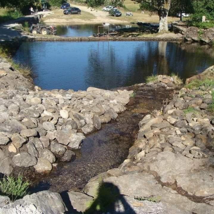 Ninho Da Avo Selvagem Villa Montalegre Eksteriør bilde