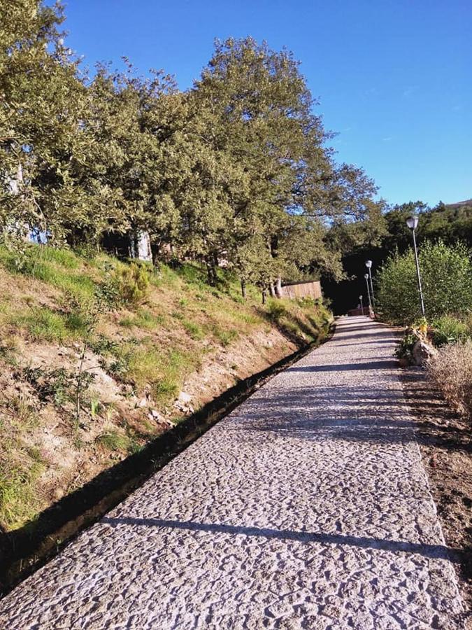 Ninho Da Avo Selvagem Villa Montalegre Eksteriør bilde
